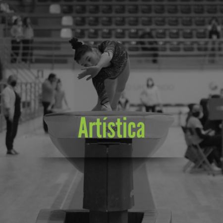 Imagem para a categoria Artística