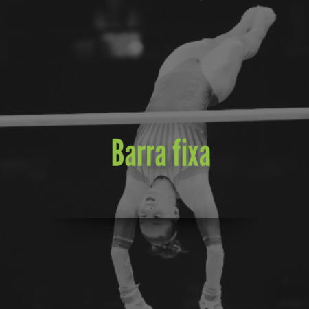 Picture for category Barra fixa