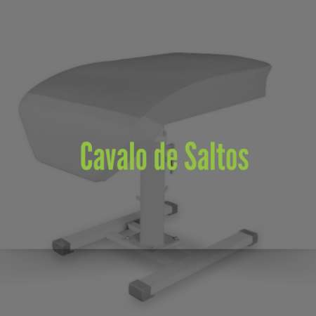Picture for category Cavalo de saltos