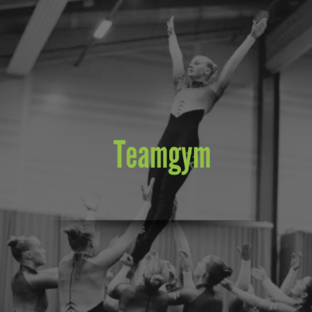 Picture for category Teamgym