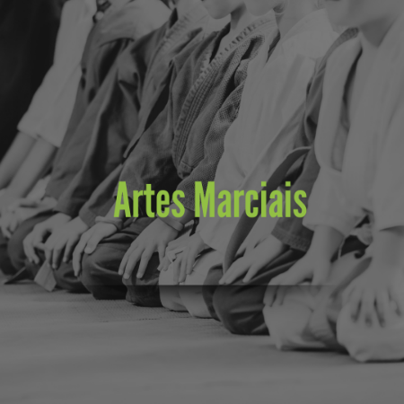 Picture for category Artes Marciais